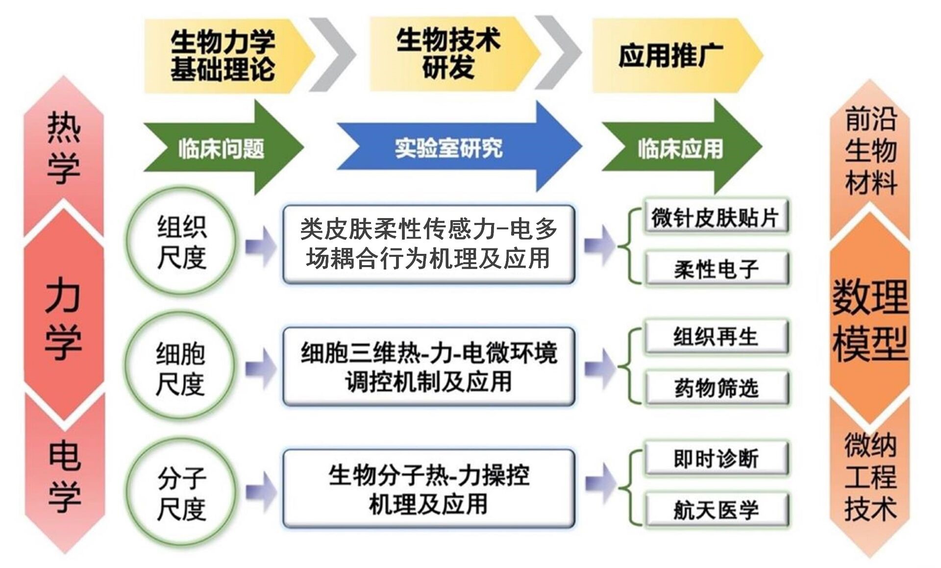 賦能生物醫學未來 西安交通大學生物力學研究所誠邀科研英才加盟